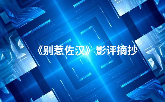 《别惹佐汉》影评摘抄