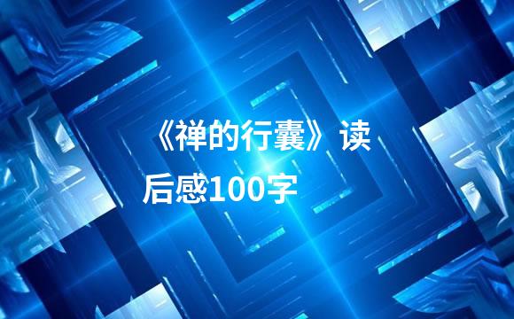 《禅的行囊》读后感100字