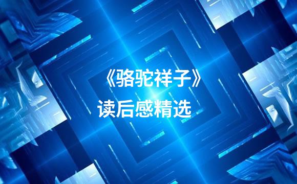 《骆驼祥子》读后感精选