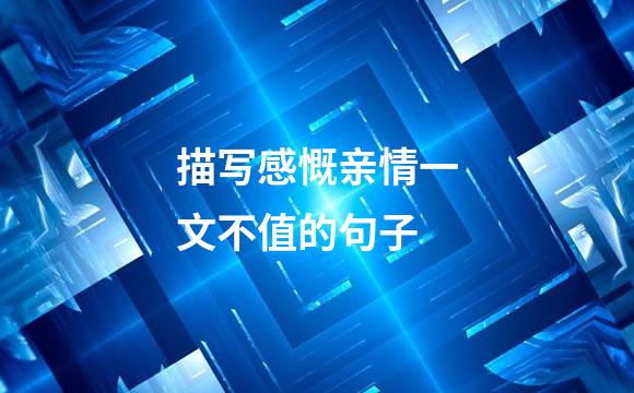 描写感慨亲情一文不值的句子