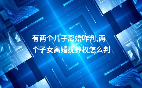 有两个儿子离婚咋判,两个子女离婚抚养权怎么判