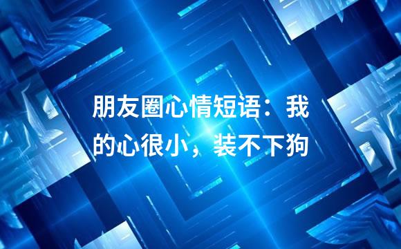 朋友圈心情短语：我的心很小，装不下狗