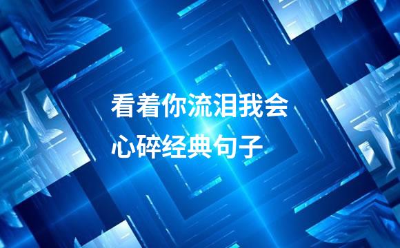 看着你流泪我会心碎经典句子