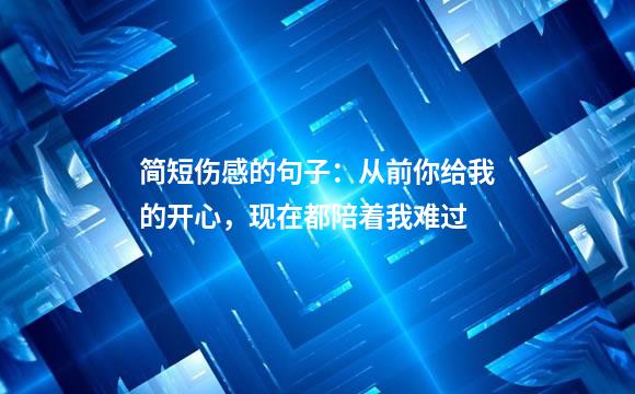 简短伤感的句子：从前你给我的开心，现在都陪着我难过